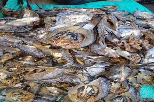Ikan Mujaer Kering(Iwak Padet)